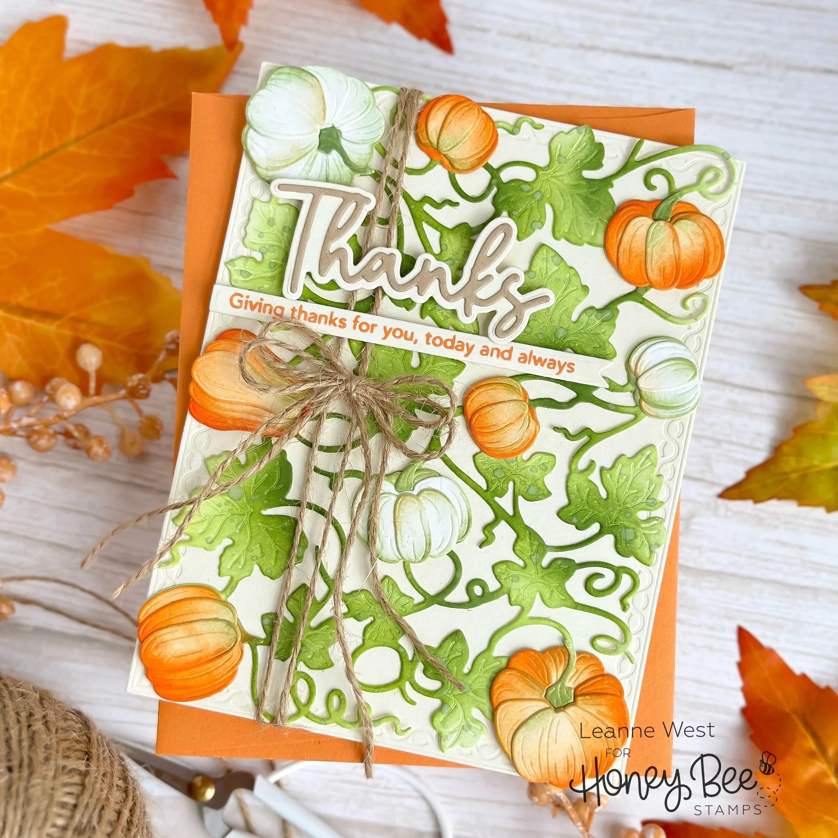 Bold Background: Pumpkin Patch - Honey Cuts