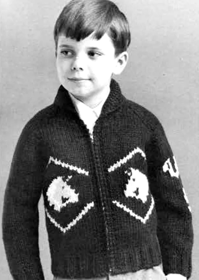 Children's Palomino Horse Cardigan Pattern