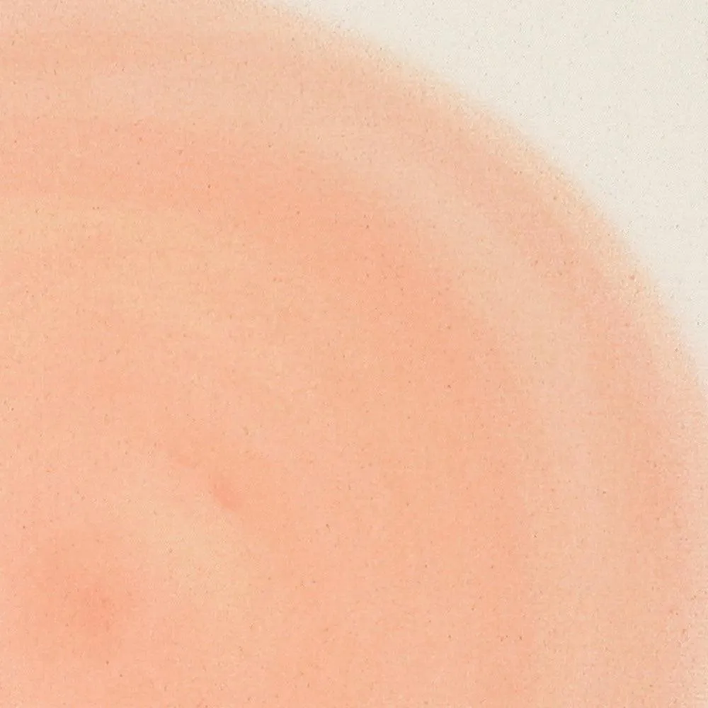 Circle in Peach n.1